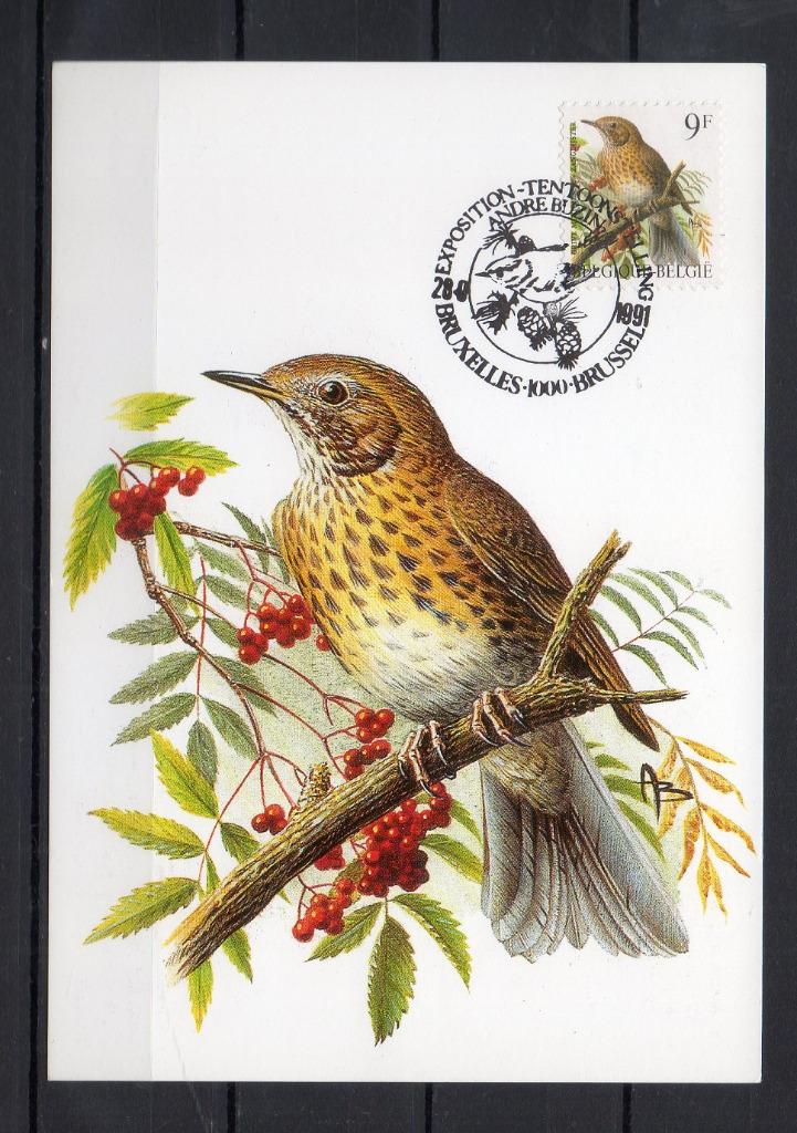 Année 1991 : Carte maximum 2426 - Oiseaux - Grive musicienne, Enlèvement ou Envoi
