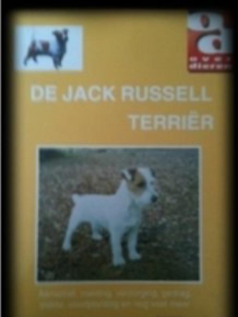 De Jack Russell Terriër, Enlèvement, Chiens
