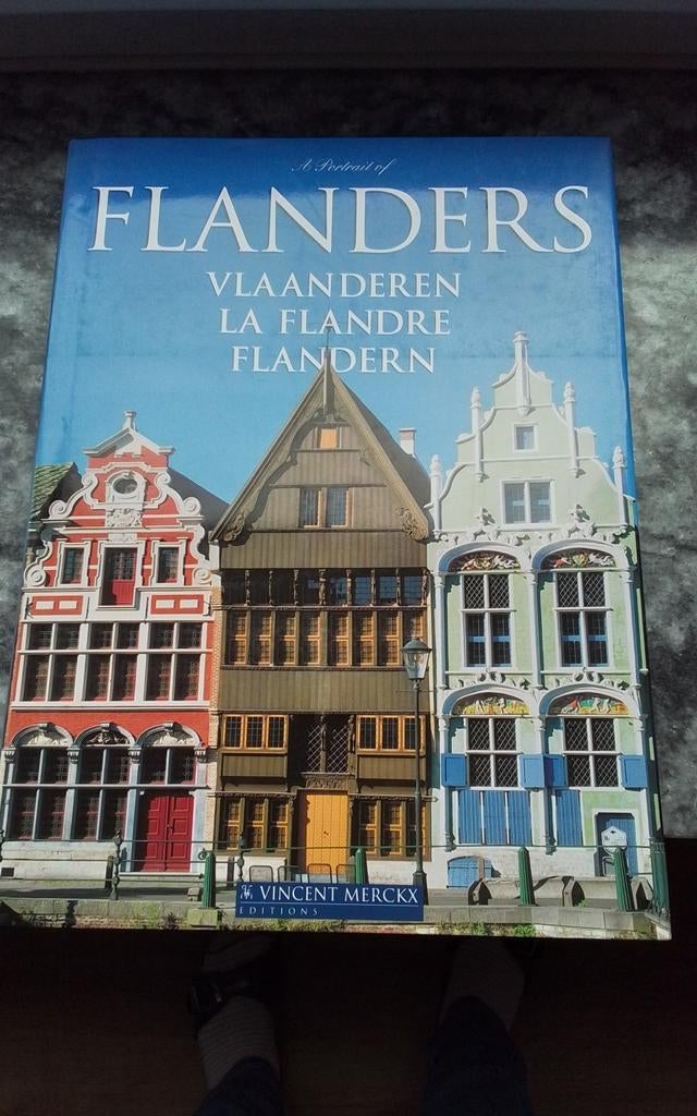 Boek : Flanders - Vlaanderen - La Flandre - Flandern, Boeken, Kunst en Cultuur | Architectuur, Zo goed als nieuw, Ophalen