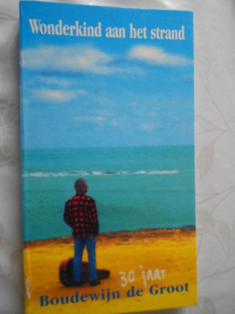 Boudewijn de Groot, Wonderkind aan het strand, Cd's en Dvd's, Ophalen of Verzenden, Gebruikt, Pop
