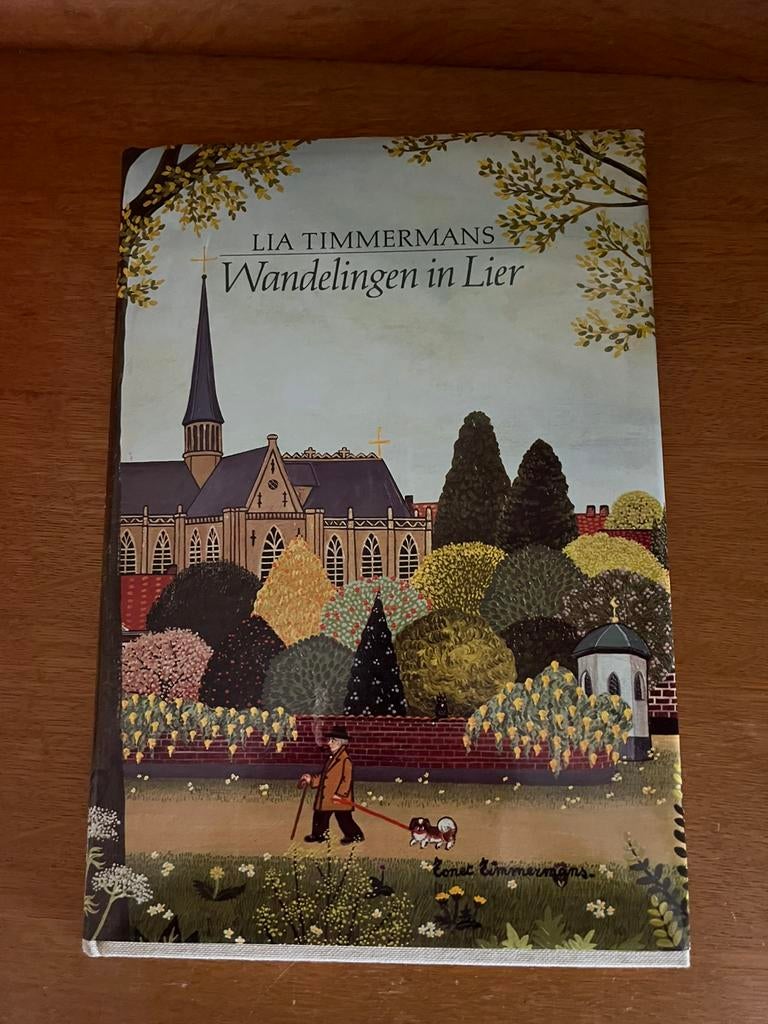 Wandelingen in Lier, Boeken, Ophalen, Zo goed als nieuw