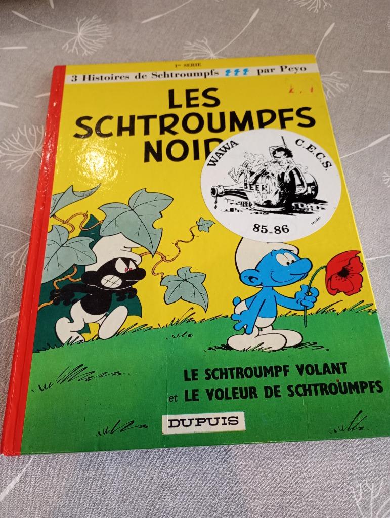 BD Les Schtroumpfs noires, Enlèvement