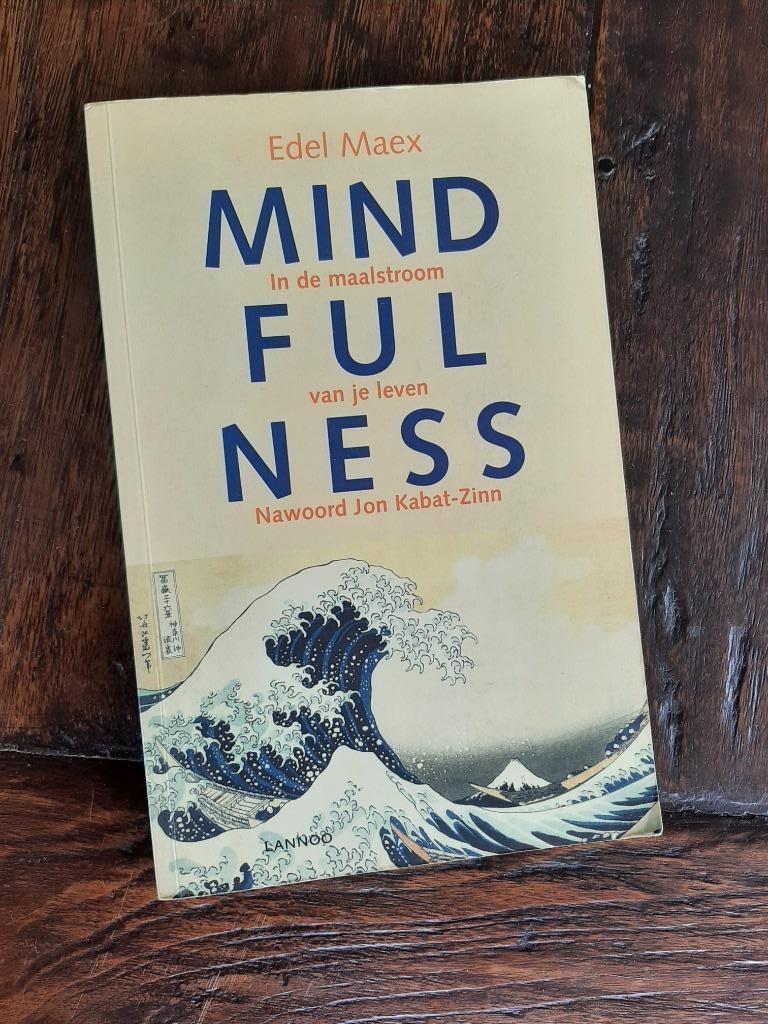 Mindfulness (In de maalstroom van je leven), Boeken, Ophalen of Verzenden, Gelezen