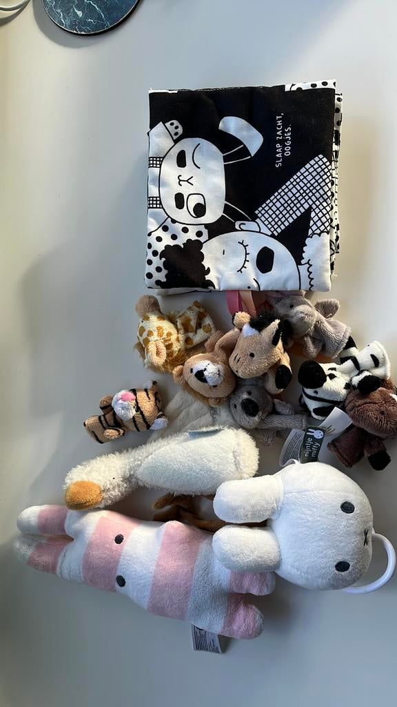 Speelgoedpakketje baby, Kinderen en Baby's, Ophalen of Verzenden, Gebruikt