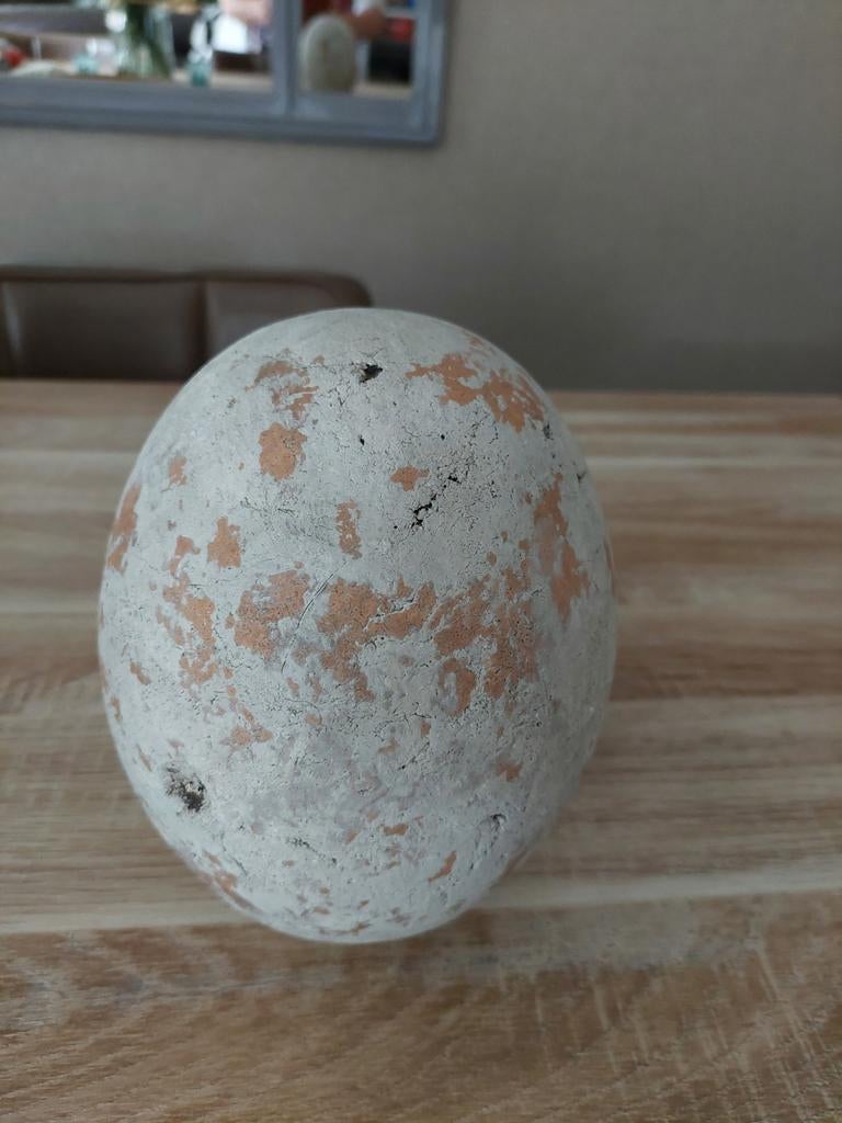 Zwaar betonnen ei hoogte 20 cm omtrek 46 cm, Ophalen