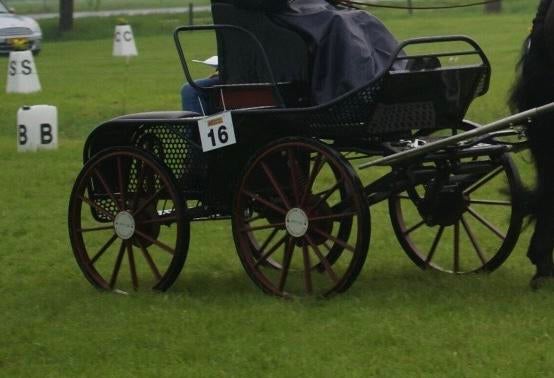 De laat marathonwagen, Utilisé, Calèche marathon, Cheval ou Poney