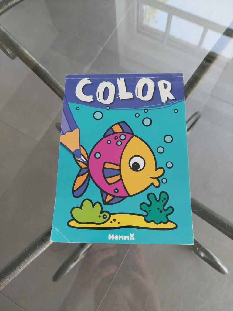 Livre de coloriage pour les petits, Enlèvement ou Envoi, Comme neuf, Bricolage