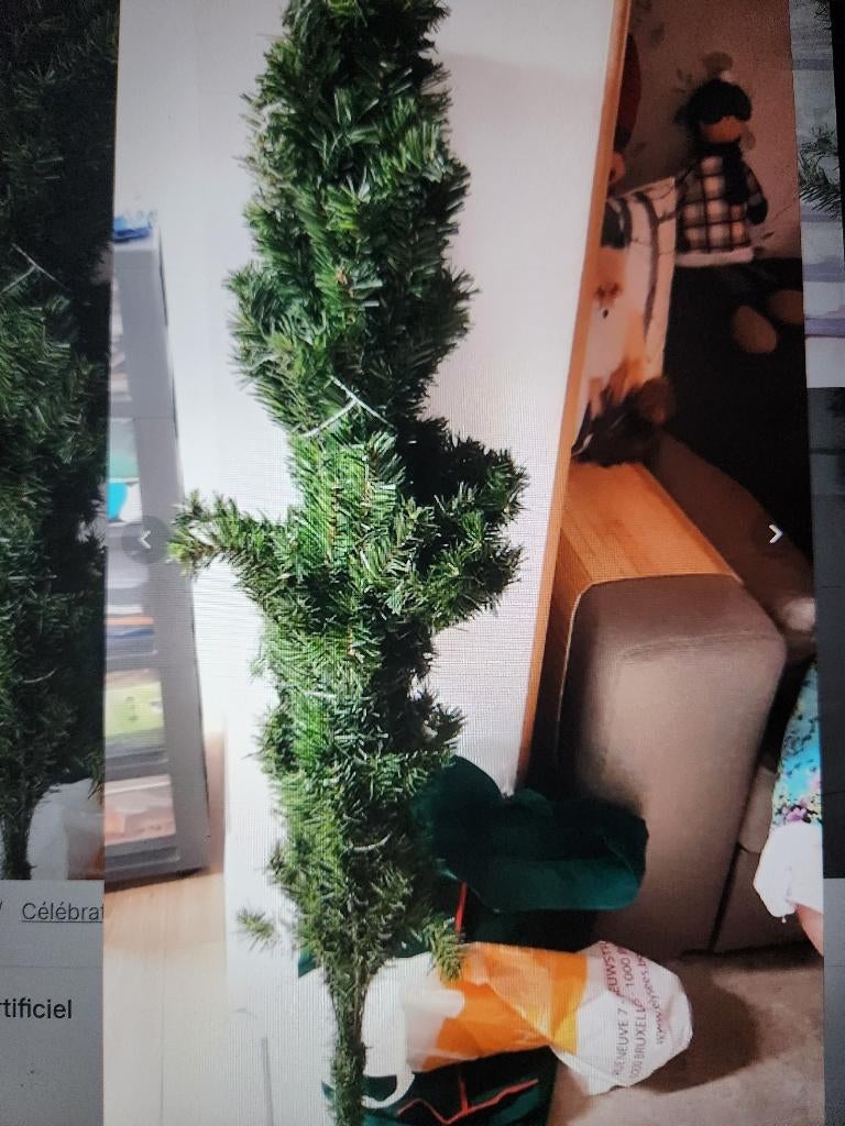 Sapin, Enlèvement, Comme neuf