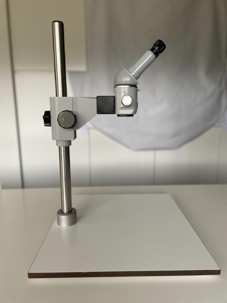 Carl Zeiss stereomicroscoop, Ophalen of Verzenden, Zo goed als nieuw, Minder dan 400x, Stereomicroscoop