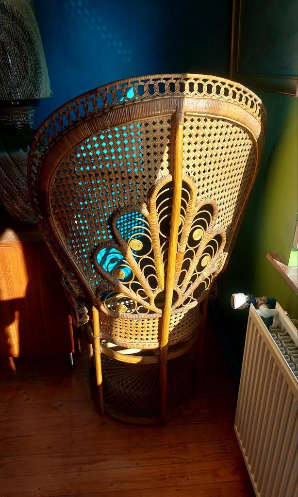 Pauwenstoel jaren 70 rotan bamboe riet webbing peacock chair, Ophalen
