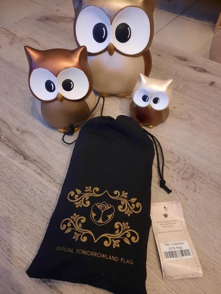 Official Tomorrowland flag 2016, Ophalen of Verzenden