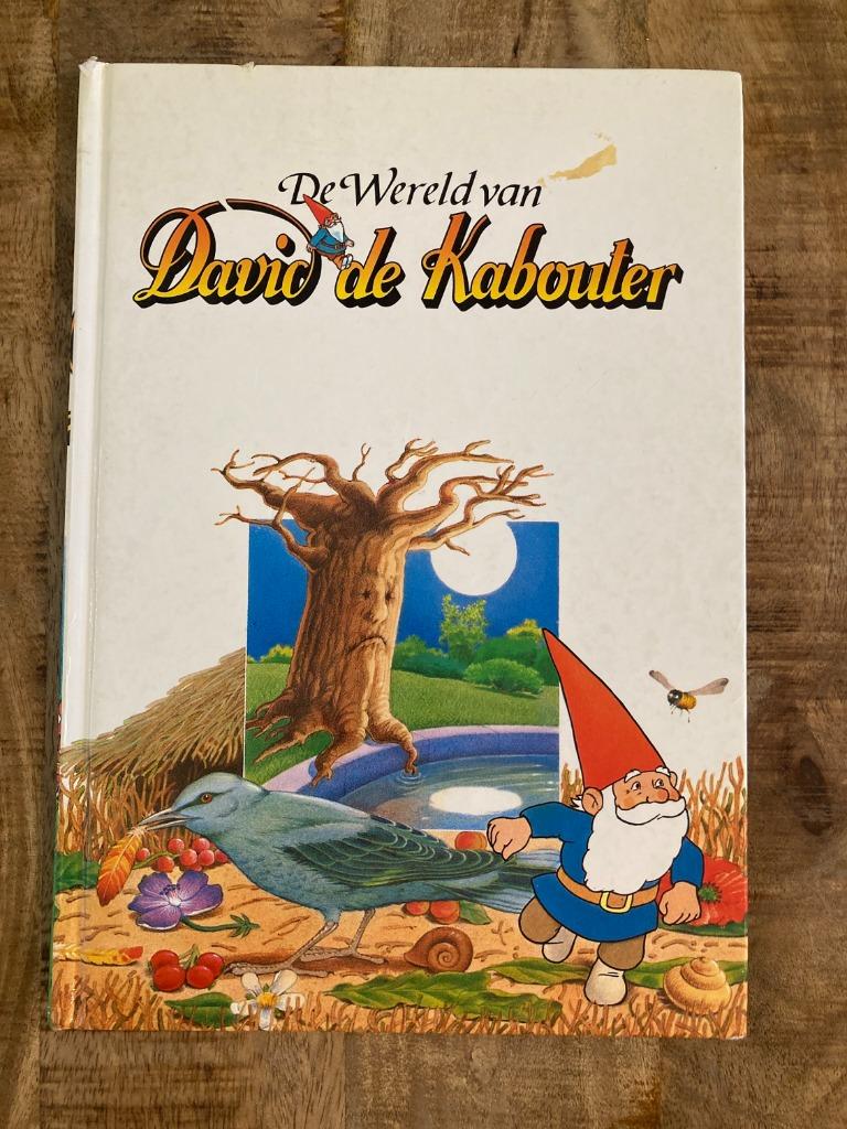 Informatief boek - De wereld van David de Kabouter, Ophalen of Verzenden, Gelezen, Hanny Mensing