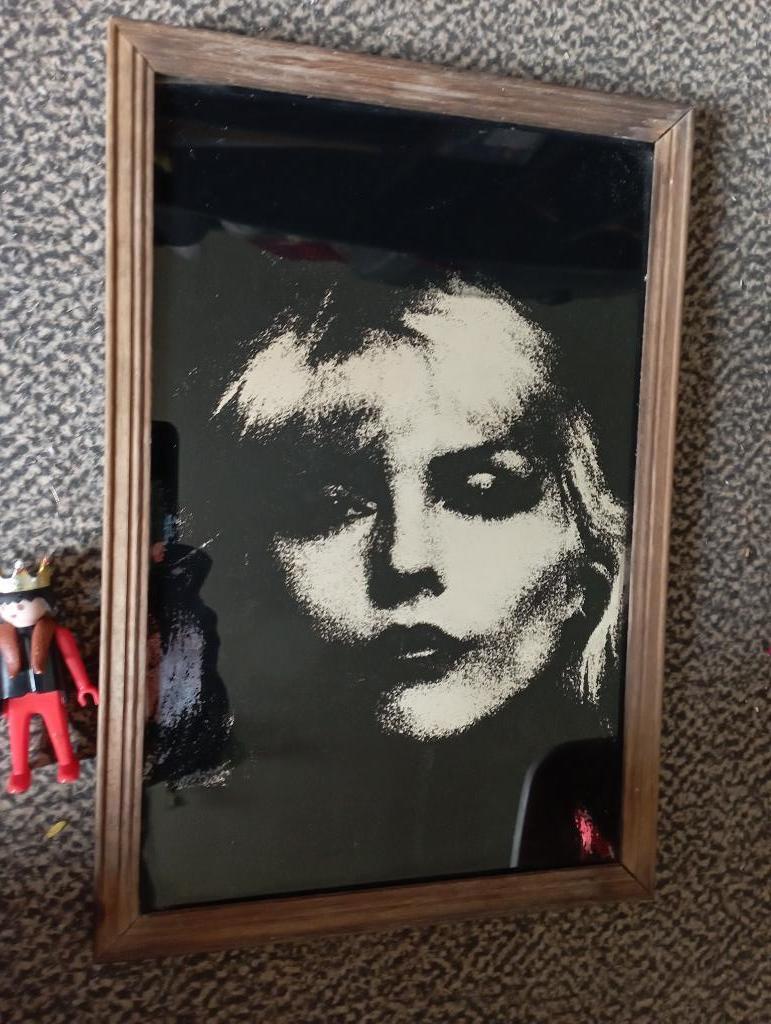545) ceci n'est pas Taylor Swift (spiegel) 22,5x33cm, Antiek en Kunst, Curiosa en Brocante, Ophalen of Verzenden