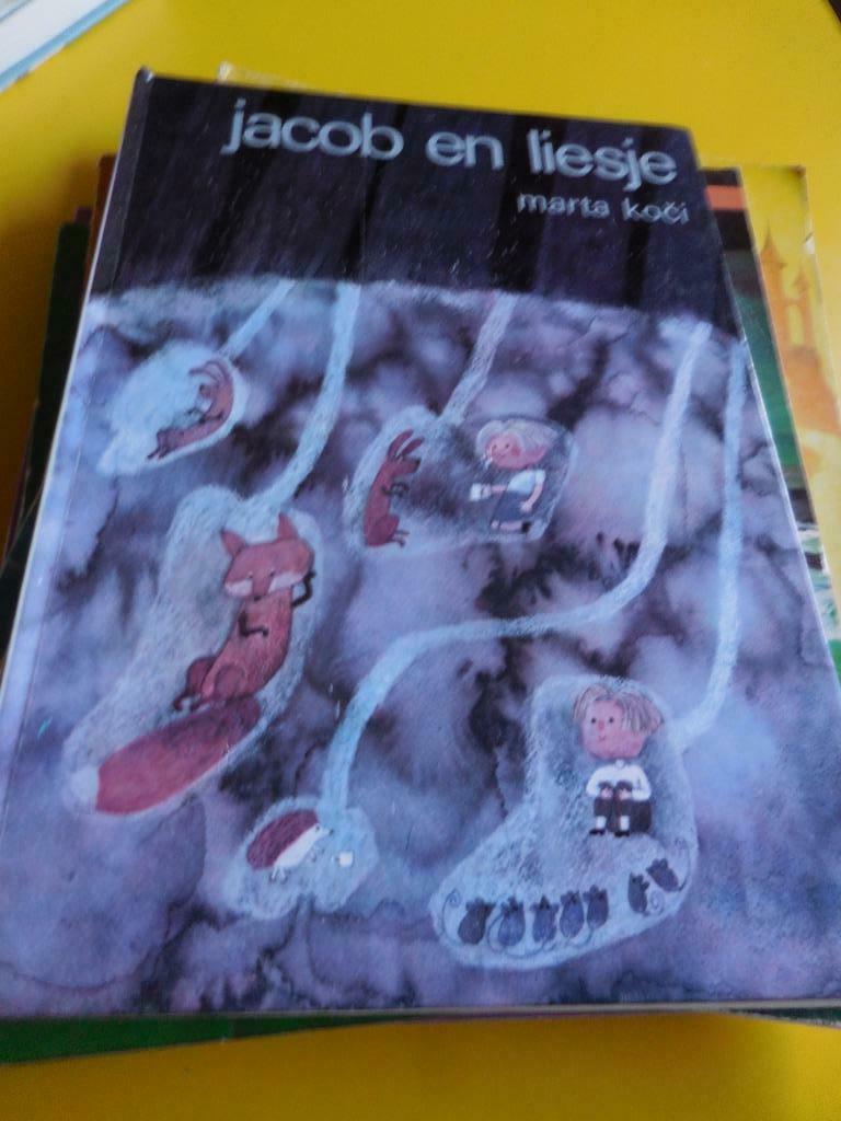 [2392] boek : jacob en liesje van marta koci, Boeken, Ophalen of Verzenden