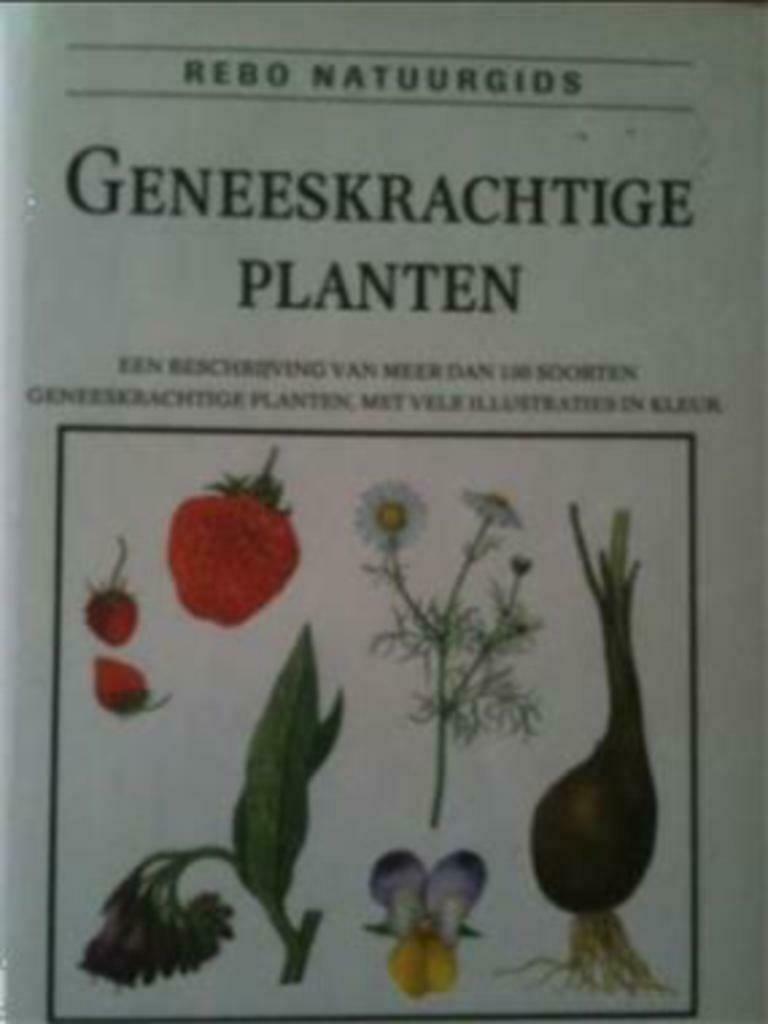 Geneeskrachtige planten, Frantisek Stary, Ophalen of Verzenden, Gelezen, Bloemen, Planten en Bomen