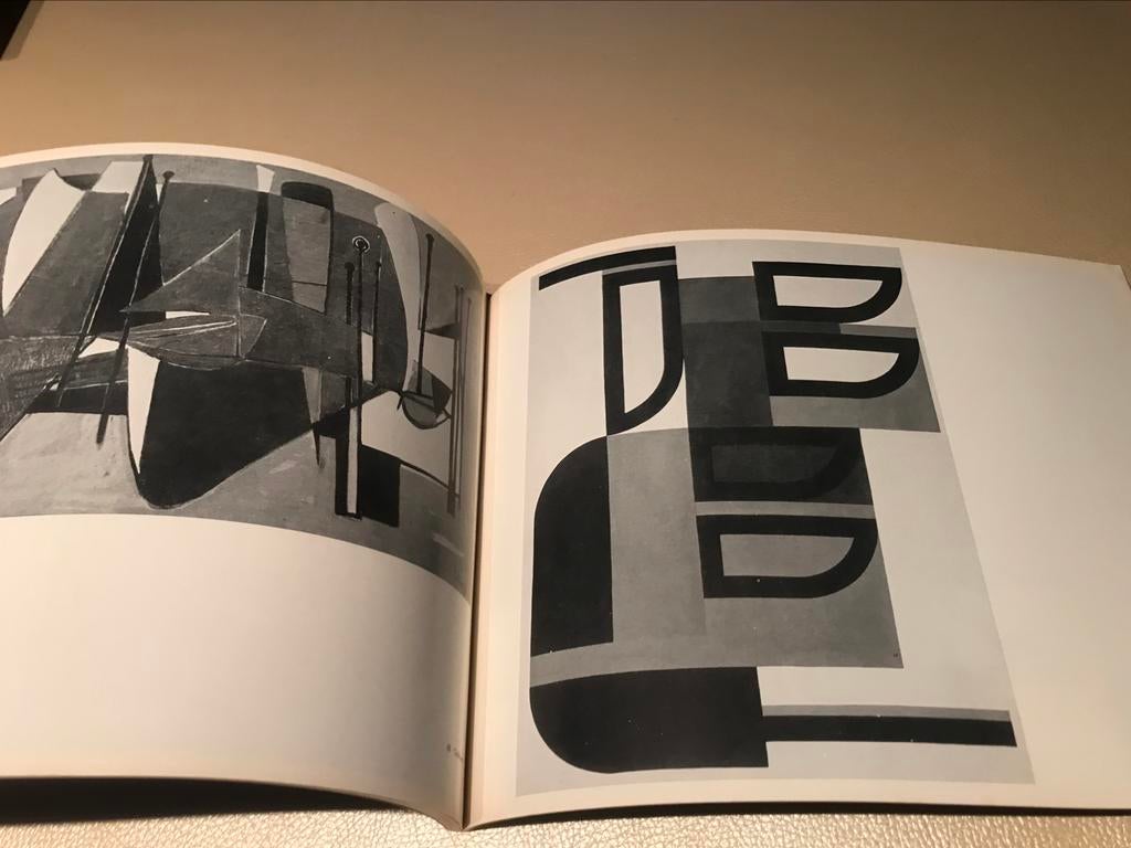 Facettes dans l'art belge 60 pages Delahaut Alechinsky, Enlèvement ou Envoi, Comme neuf, Peinture et dessin