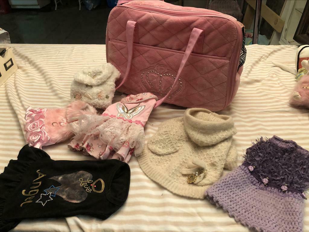 Kleine hondjes spullen, Dieren en Toebehoren, Honden-accessoires, Ophalen