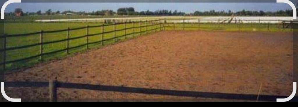 Bak/ wei extra sterke pvc afrasteringsband