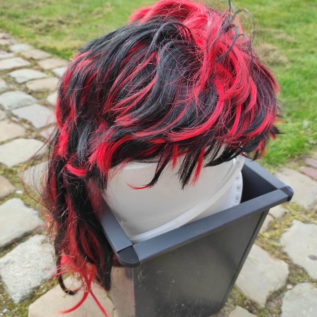 pruik carnaval, Ophalen of Verzenden, Zo goed als nieuw, Accessoires
