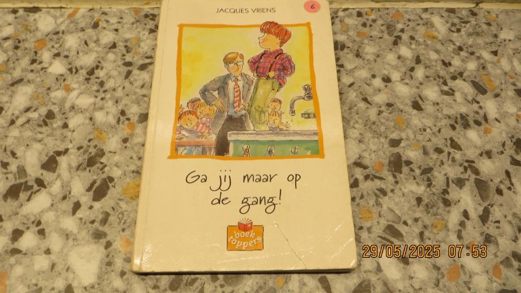 GA JIJ MAAR OP DE GANG !, Ophalen of Verzenden, Zo goed als nieuw, Fictie, JACQUES VRIENS