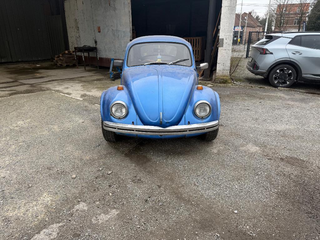 Coccinelle, Particulier, Achat, Coccinelle