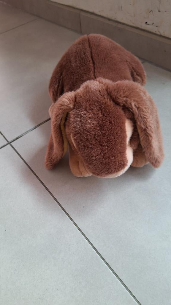 Knuffel Konijn, Enlèvement ou Envoi, Comme neuf, Lapin