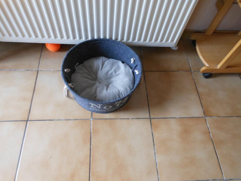 panier chat, Enlèvement, Utilisé