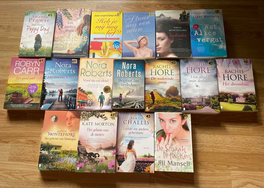 Romans Rachel Hore, Nora Roberts, santa Montefiore ea, Boeken, Ophalen of Verzenden, Gelezen