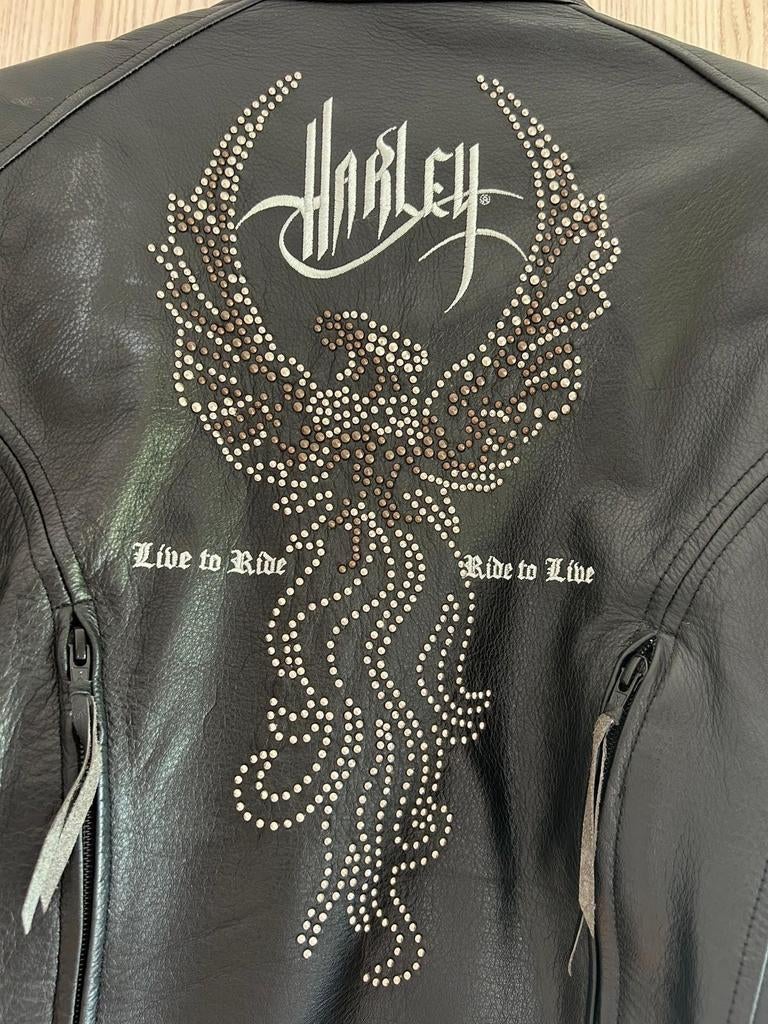 Veste harley davidson femme