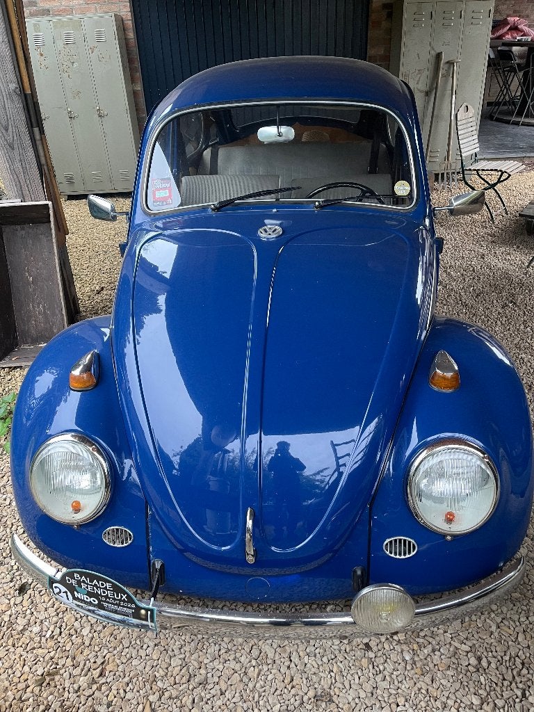 Vw coccinelle, Autos, Achat, Entreprise, 3 portes, Boîte manuelle