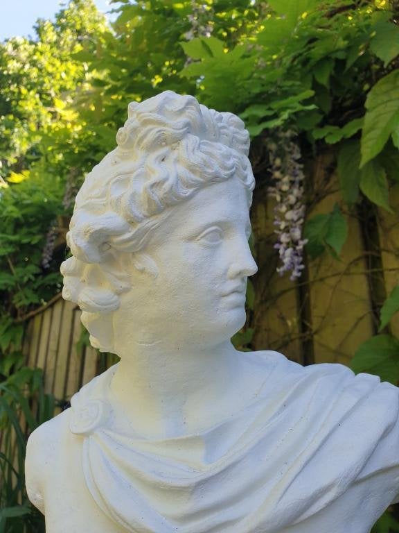buste beeld , david, Ophalen of Verzenden, Nieuw