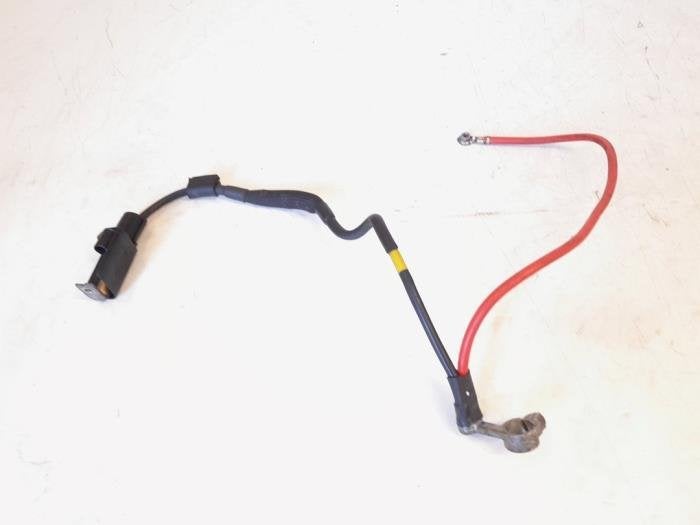 Borne de batterie d'un Volkswagen Passat, Volkswagen, -, 3 mois de garantie, Utilisé