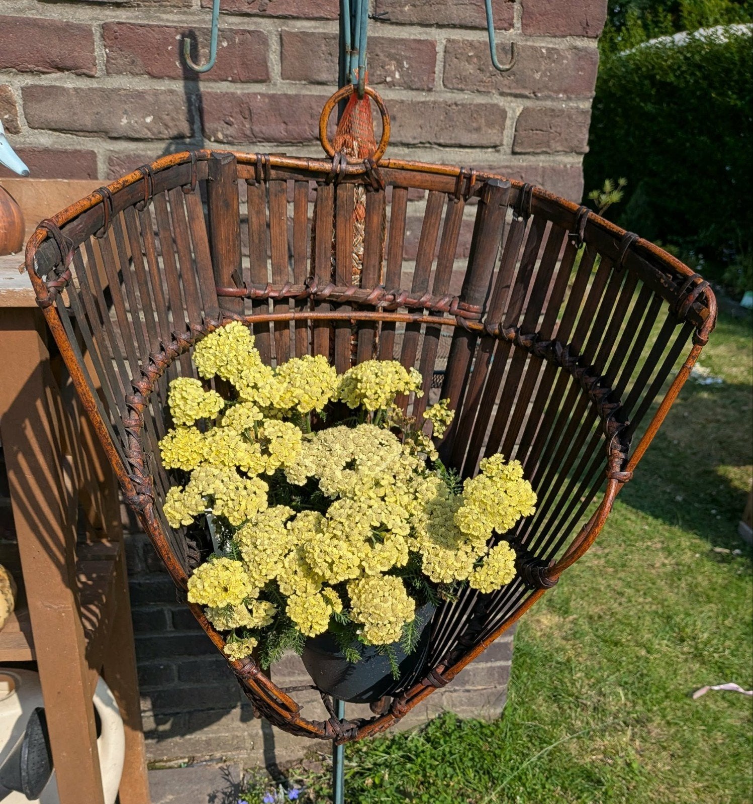 Japanse Bamboemand - plantenhanger, Ophalen