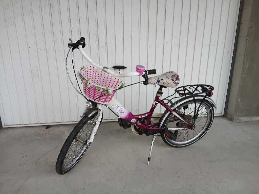 Meisjesfiets 20 inch, Ophalen, Gebruikt, Versnellingen, 20 inch