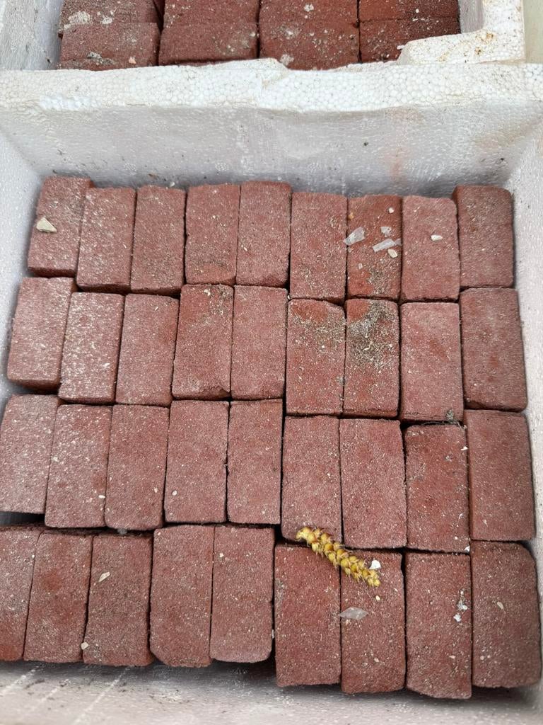 Steenstrieps rood, Ophalen, Zo goed als nieuw