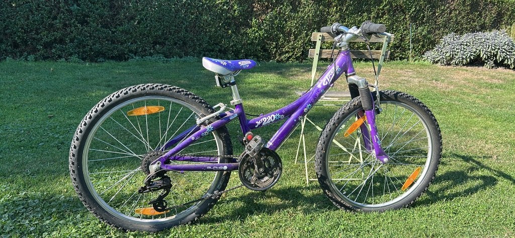 Vélo Trek 24 pouces, Frein sur jante, Femmes, Enlèvement, Trek