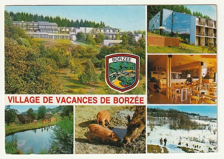 Village de vacances de Borzée La Roche en Ardenne Multivues, Envoi, Affranchie, Luxembourg
