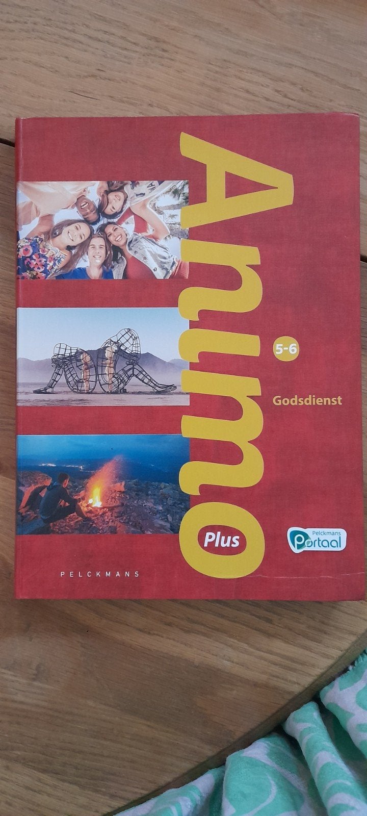 Animo 5-6 Plus handboek, Boeken, Schoolboeken, Ophalen, Nederlands
