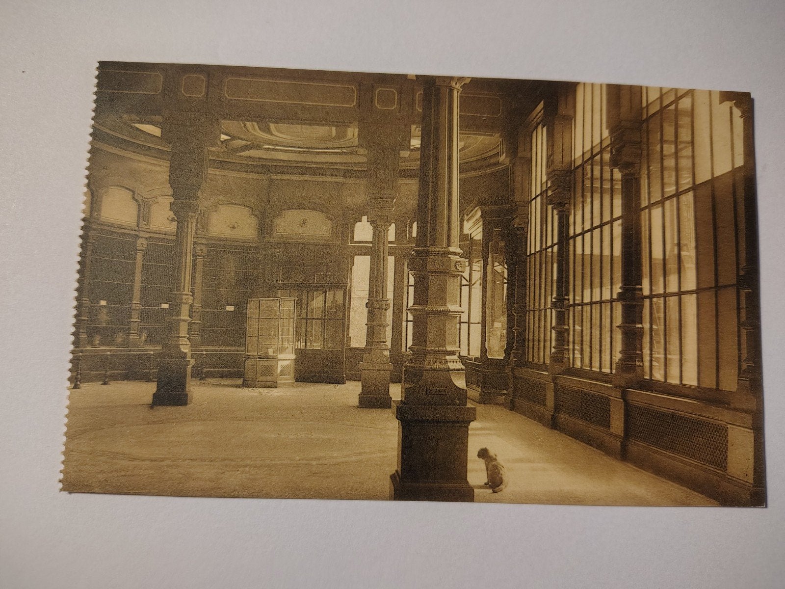 Zoo d'Apenbouw d'Anvers (vue intérieure)., Enlèvement ou Envoi, Anvers
