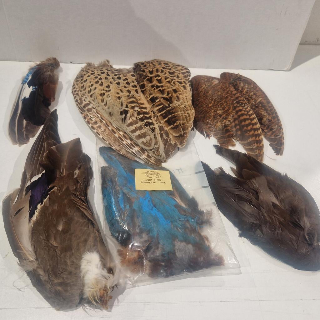 Set veren ,  kingfisher ,  eend , fazant ,  snip , gaai, Ophalen of Verzenden, Zo goed als nieuw