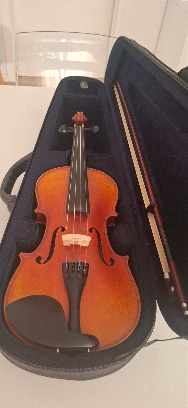 4/4 viool, Enlèvement, Violon
