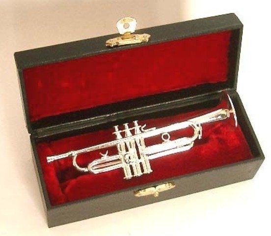 Miniatuur trompet met koffer, zilverkleurig, 11 cm, Niet ingevuld, Niet ingevuld, Nieuw, Ophalen of Verzenden