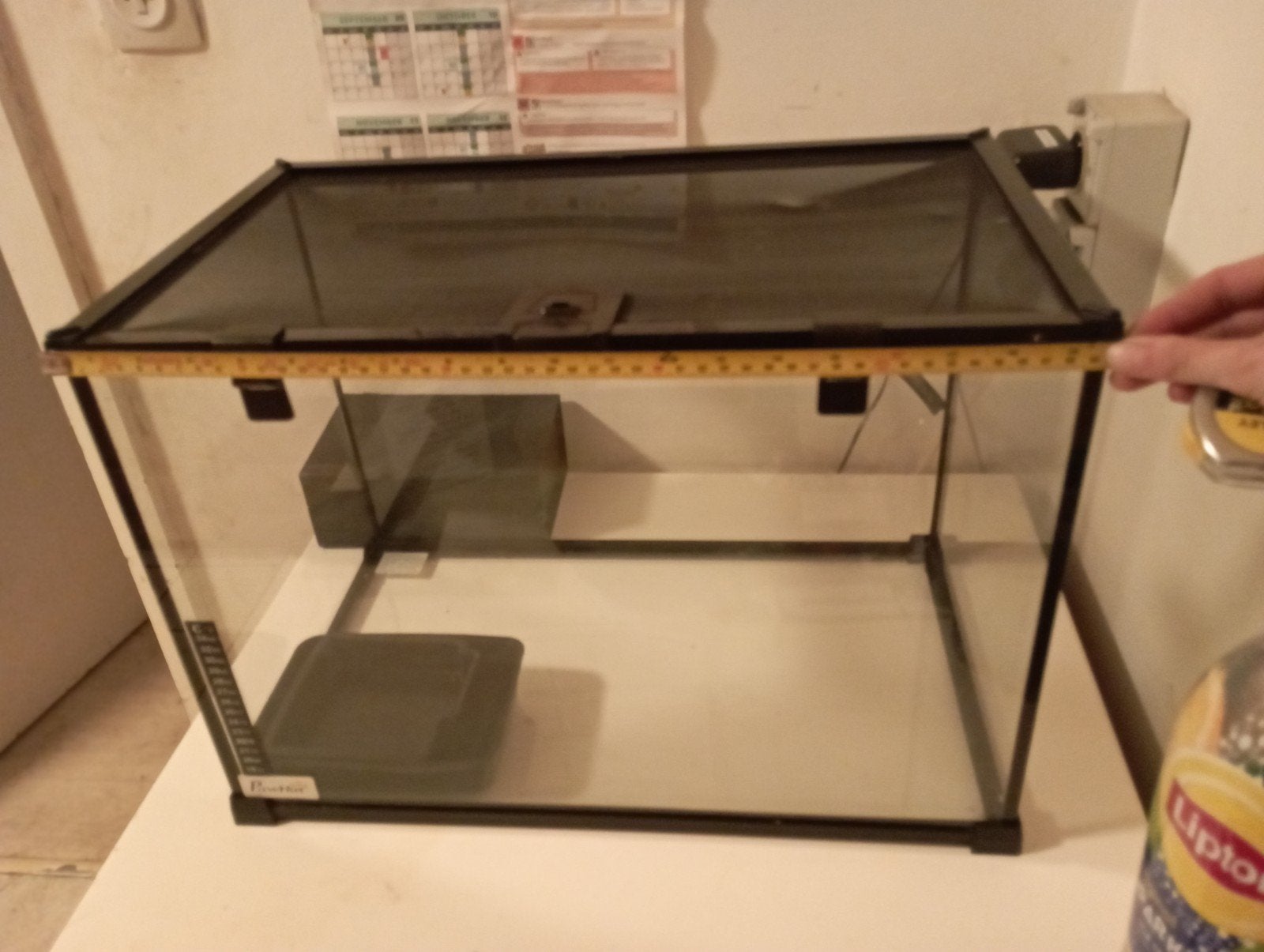 terrarium, Dieren en Toebehoren, Ophalen