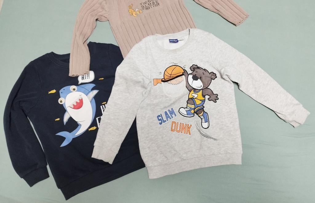 sweaters, winter jas , maat 110, Ophalen of Verzenden, Zo goed als nieuw, Jongen of Meisje, Jas