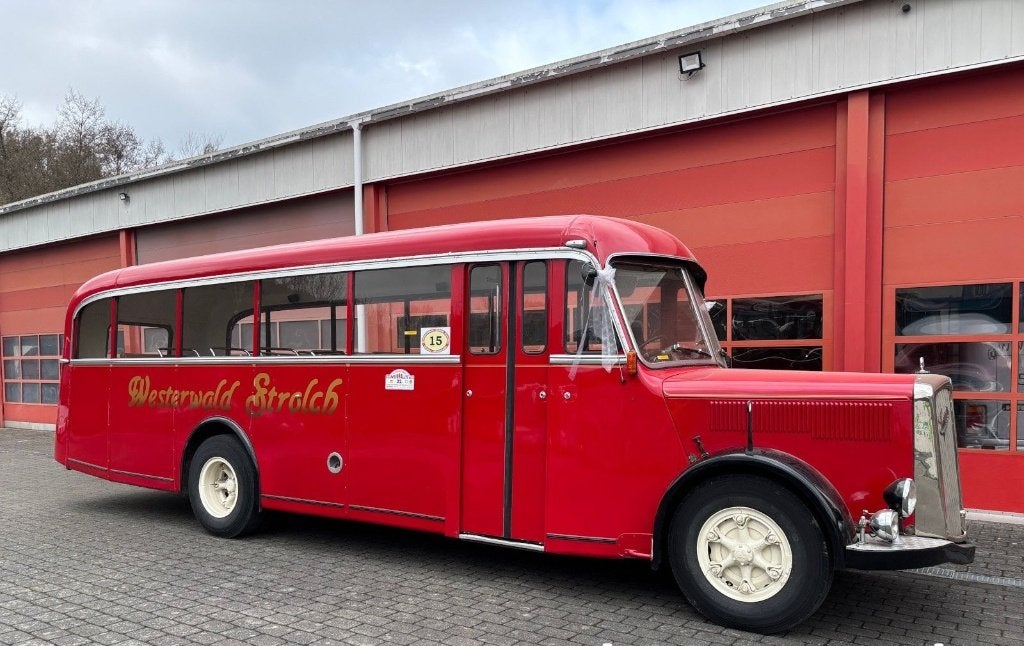 Saurerbus, Auto's, Achterwielaandrijving, Overige kleuren, Diesel, Particulier