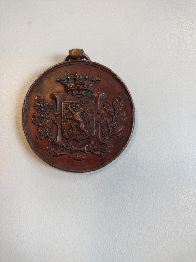penning borluut groeningeveld gent 1901, Ophalen, Brons