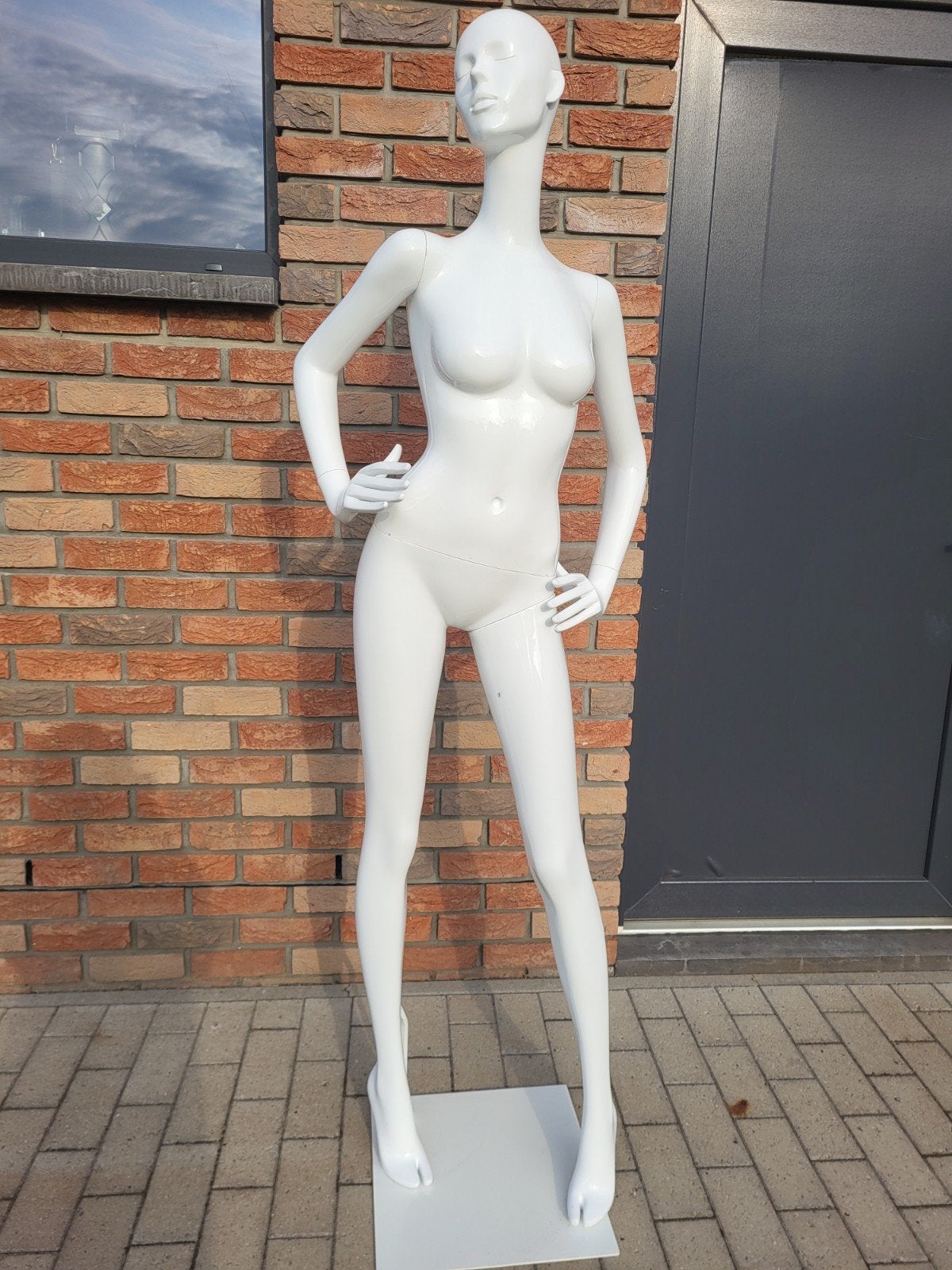 mannequin of paspop, Enlèvement