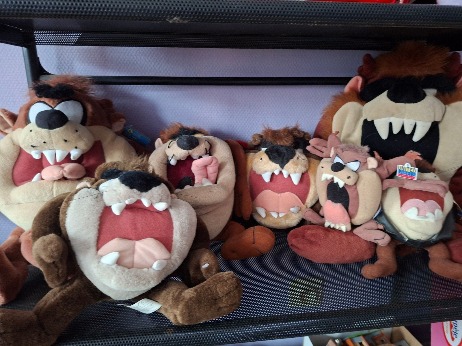 lot peluche taz, Enlèvement