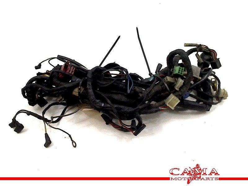 FAISCEAU DE CÂBLAGE DIVERS Kawasaki, Dhr. S. di Majo, Utilisé, Info@cama-motorparts.nl, P.J. Troelstraweg 8 8
3144 CX  MAASSLUIS, NL