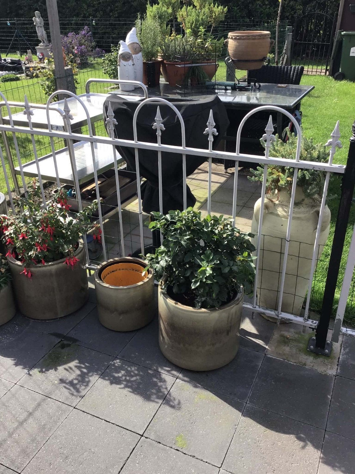 hekken, Tuin en Terras, Ophalen